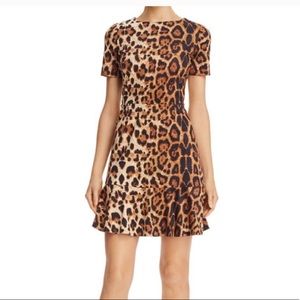 Aqua brown leopard Dress